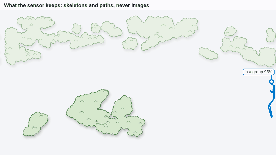 Animated skeleton walking through a garden, labelled with a group-membership estimate